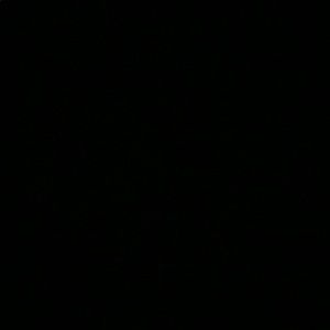 Meet your Posher, Lamarcus